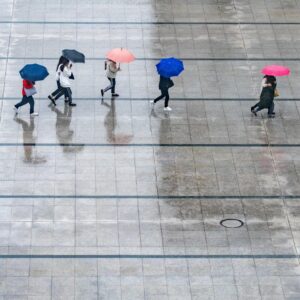 rain, people, umbrellas, wet, nature, weather, thunderstorm
